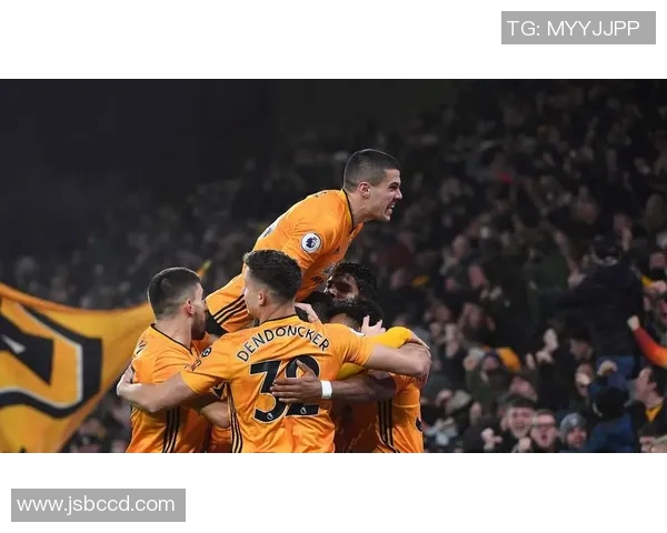 布伦特福德与狼队精彩对决直播全程回顾与分析