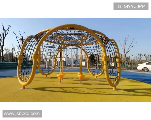 儿童游乐体育器材的选择与安全使用指南助力孩子健康成长与快乐玩耍