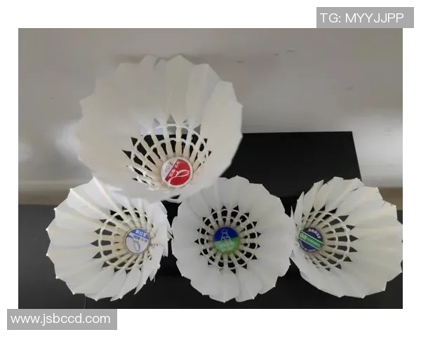 全面解析羽毛球器材规格与选购指南助您提升竞技水平与运动体验