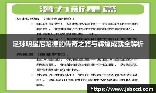 足球明星尼哈德的传奇之路与辉煌成就全解析